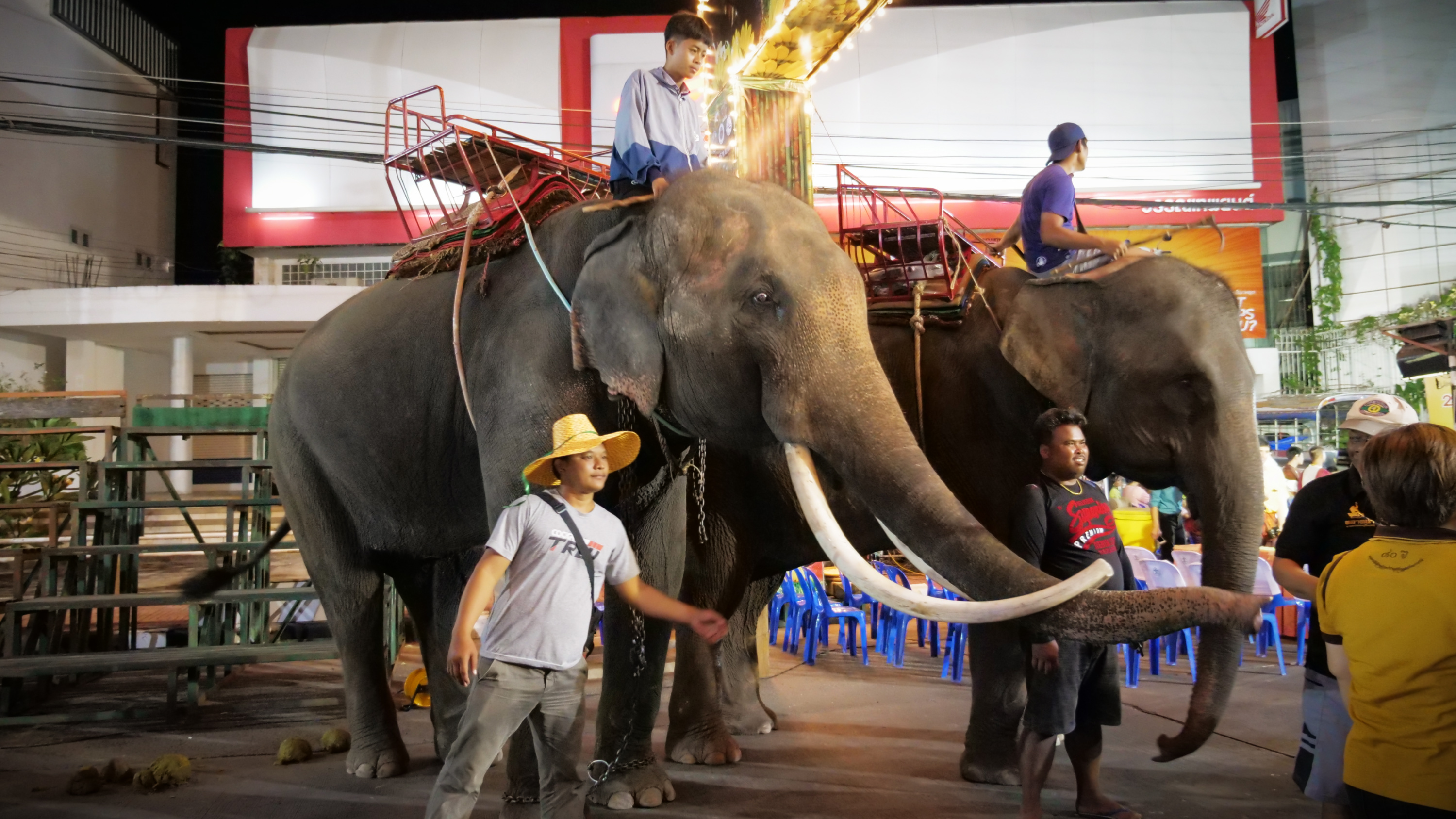 Thailand elephant riding