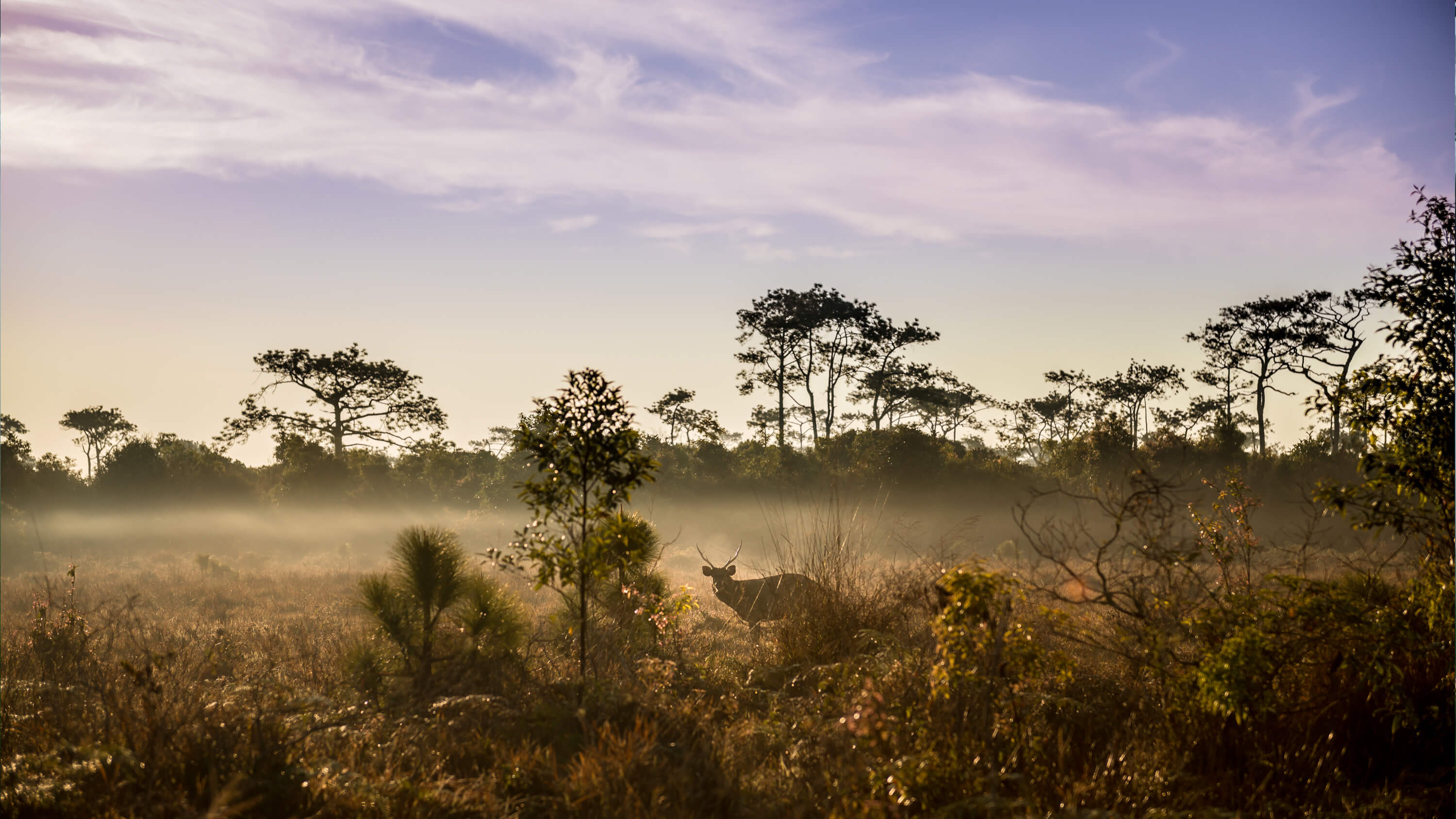 Loei travel guide