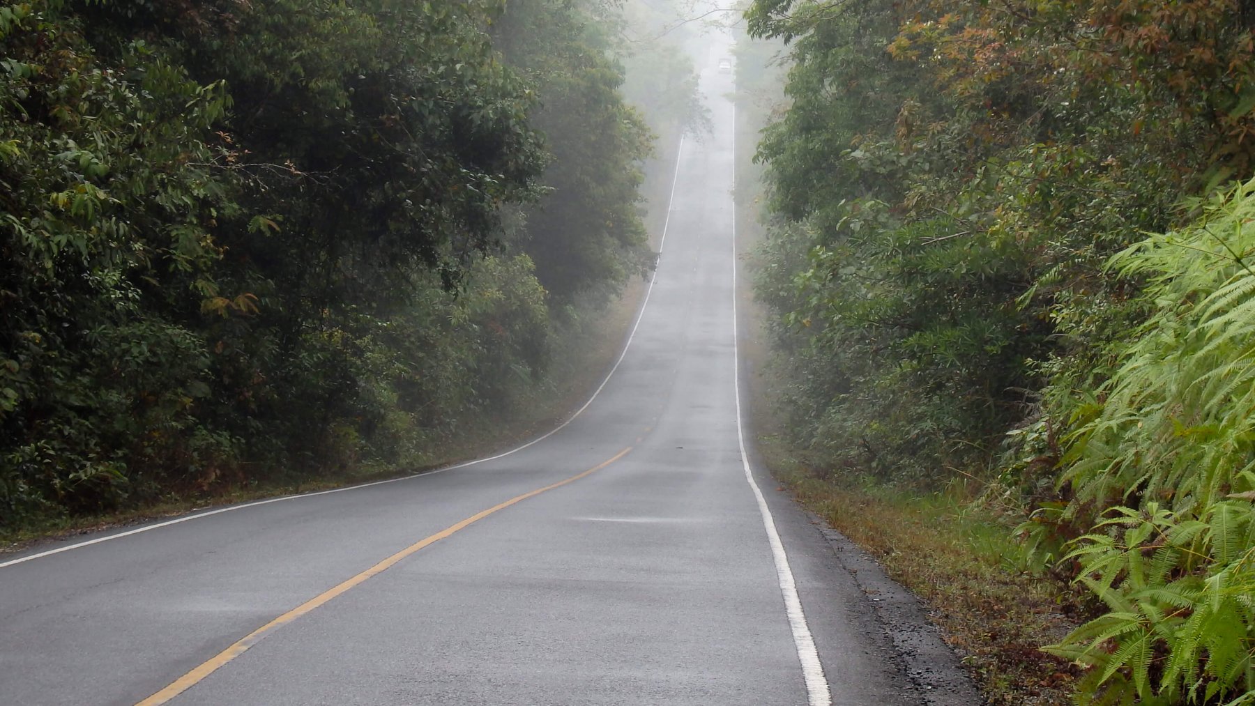 Nakhon Nayok travel guide Activities, Events & Things to do