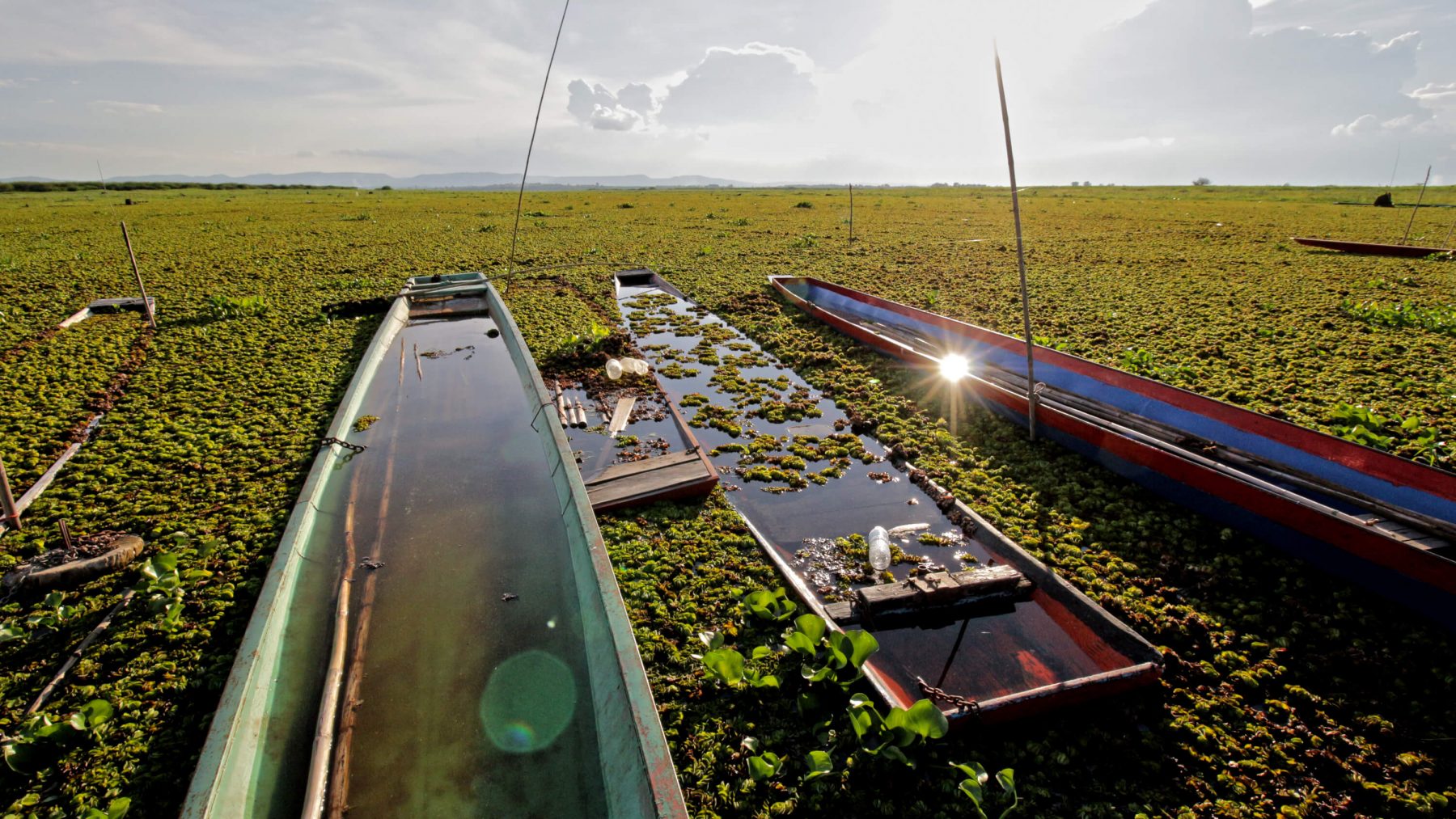 Udon Thani travel guide Activities, Events & Things to do