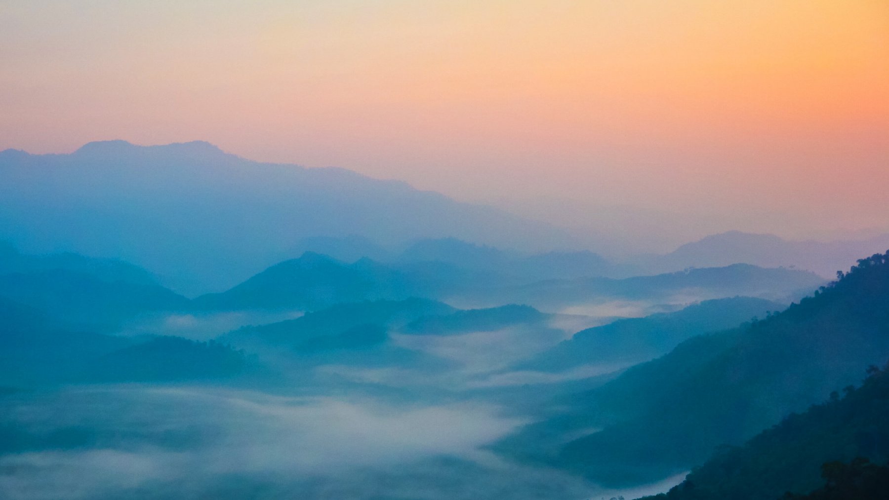 Yala travel guide Activities, Events & Things to do