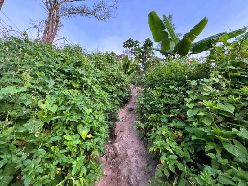 Hiking the Monk's Trail