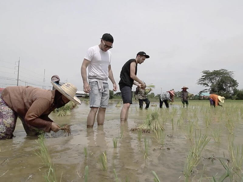 Farming in Issan