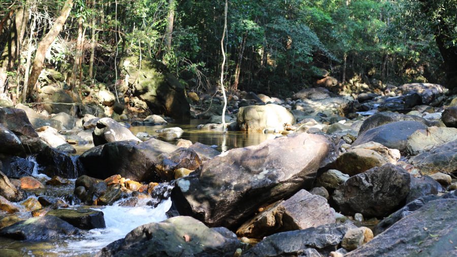 Koh Chang jungle river