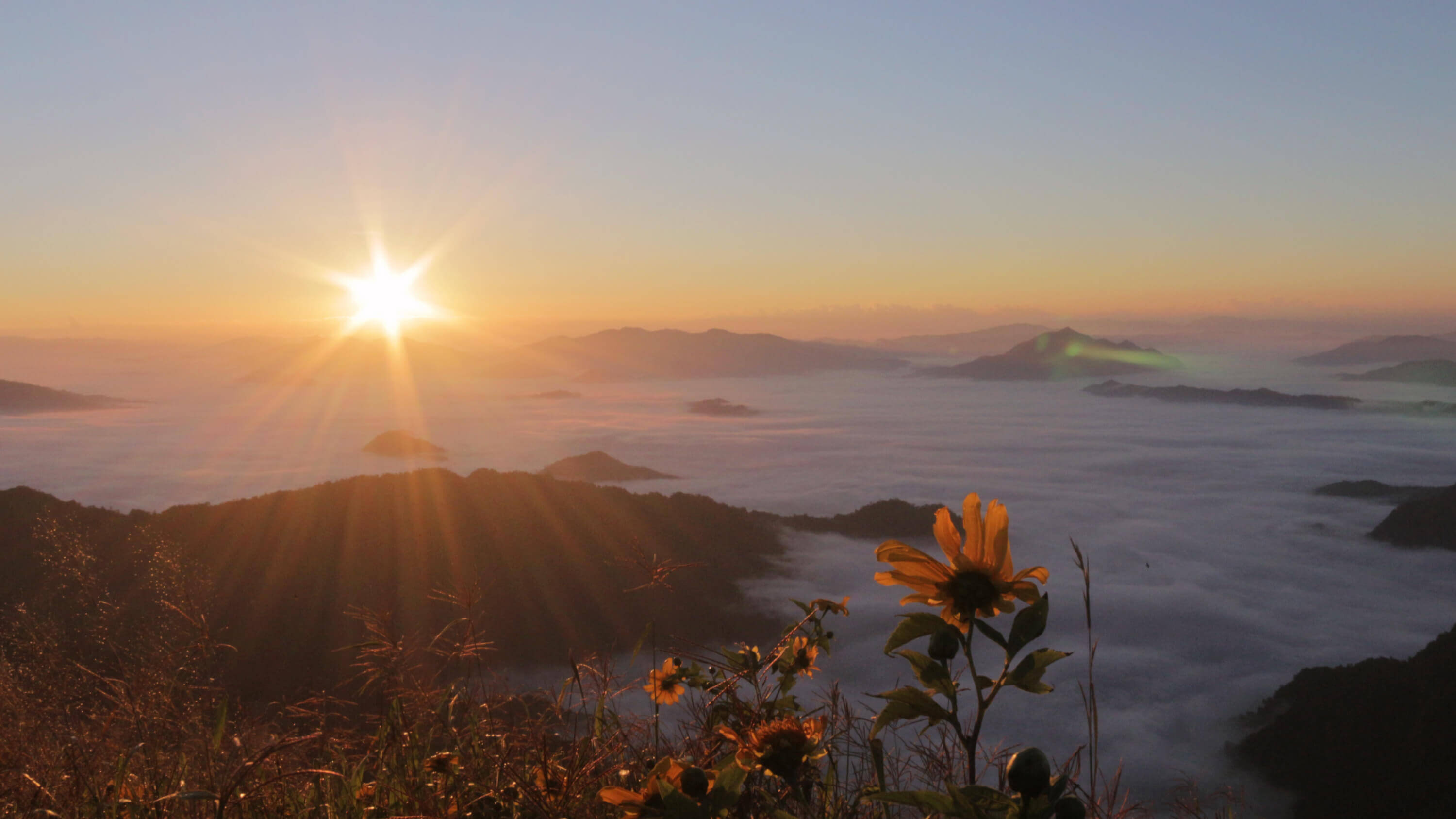 Sunrise over a sea of fog at Phu Chi Fa, Chiang Rai, Thailand