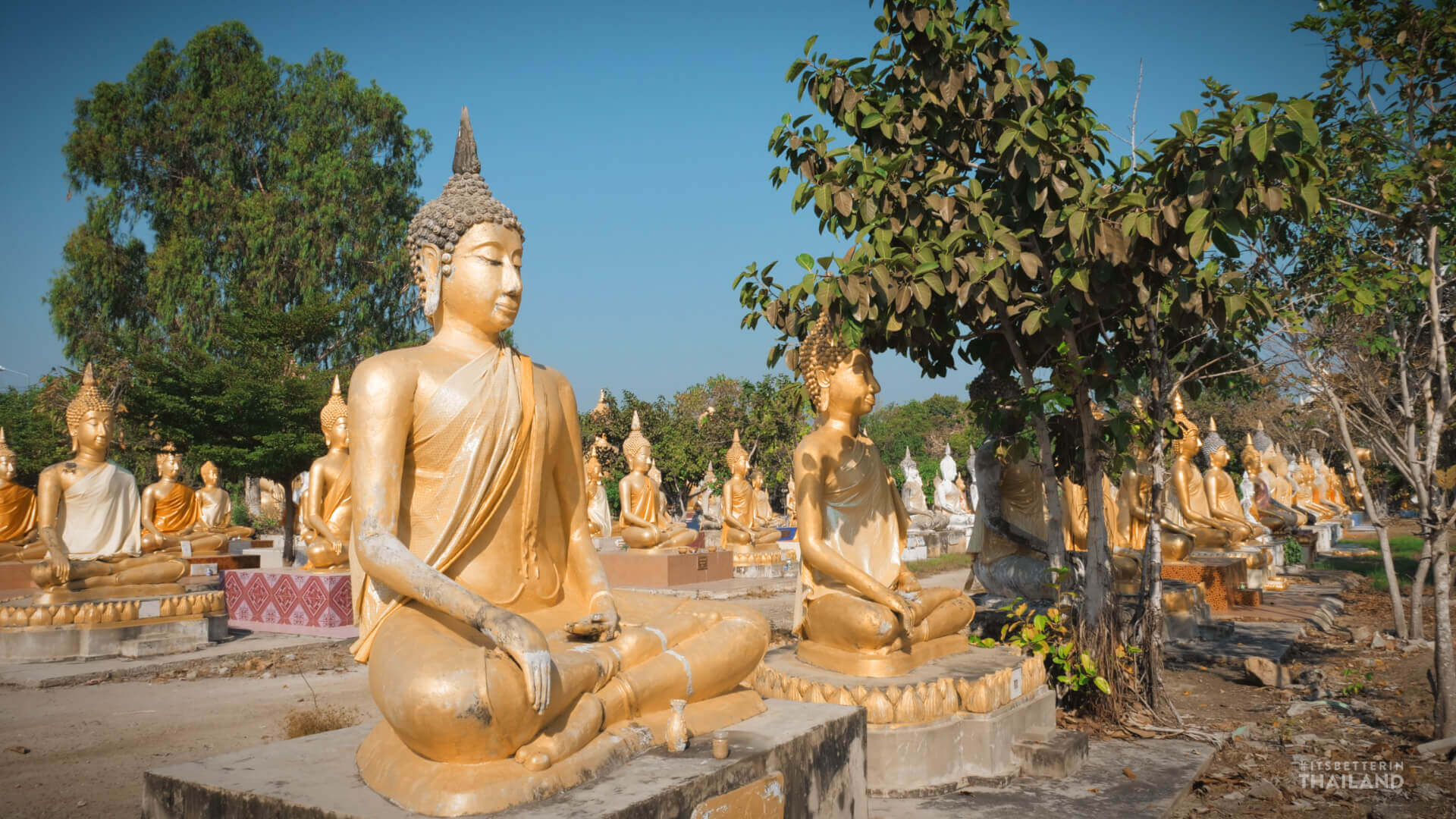 wat phai rong wua suphanburi 