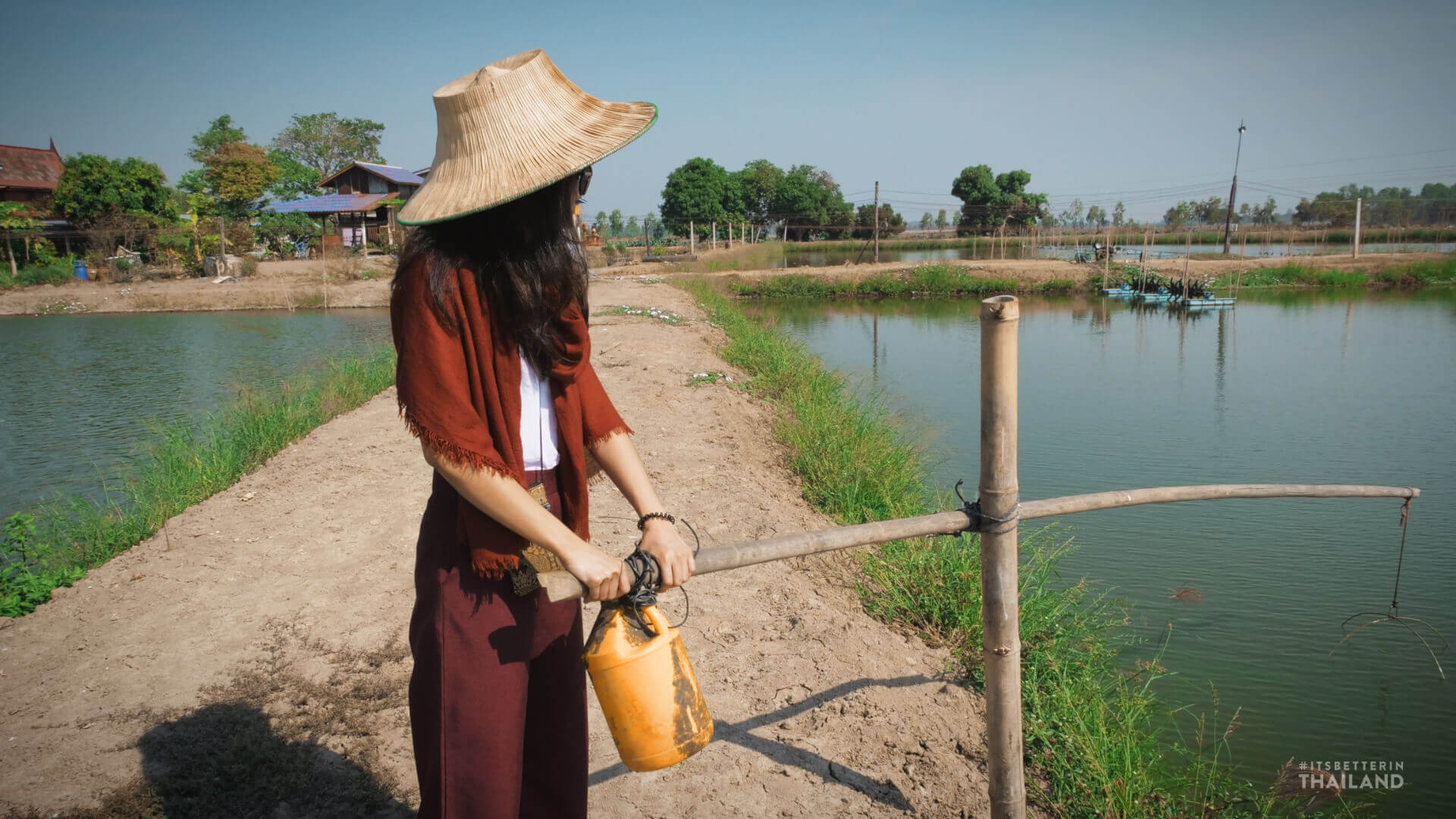 shrimp farming thailand