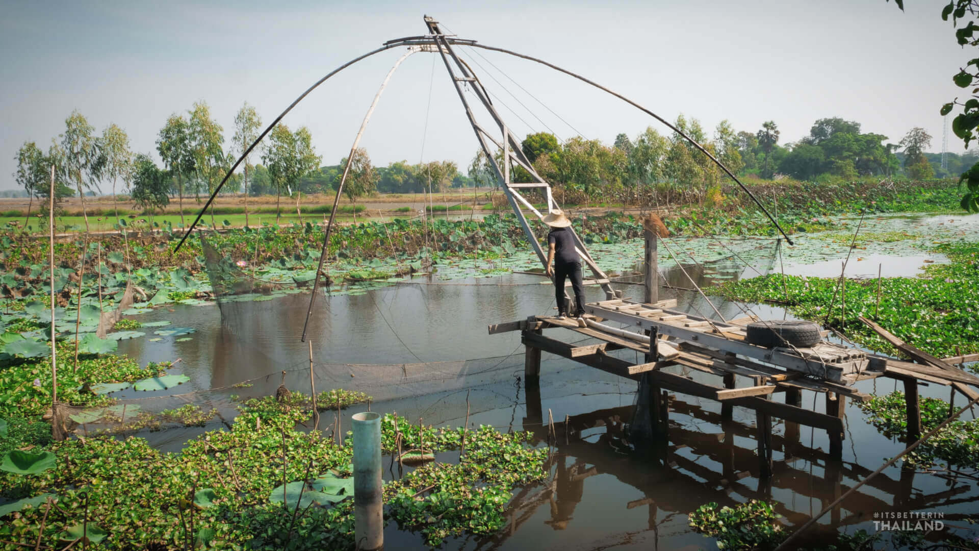 rural thailand fishing crane