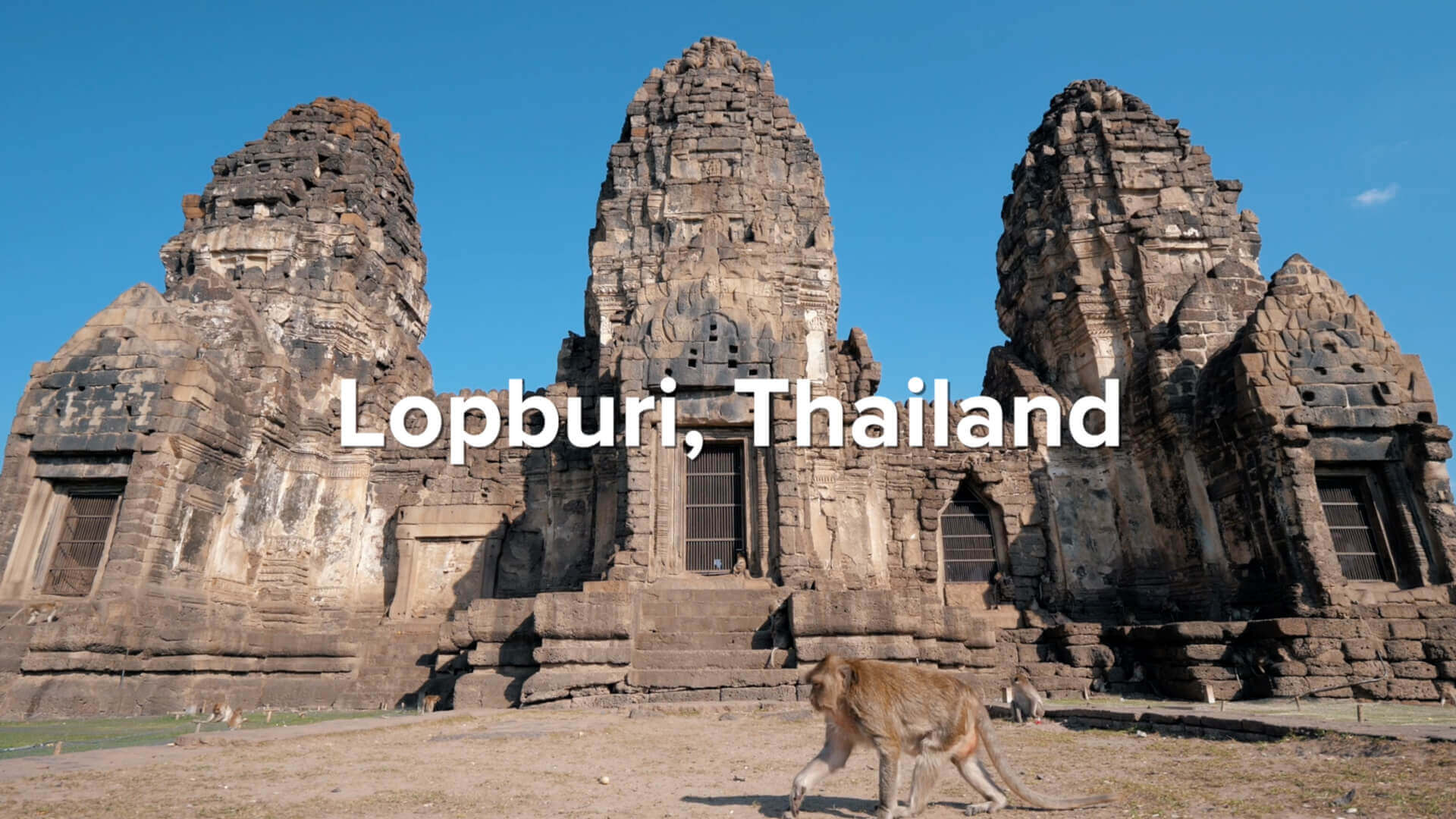 Lopburi and monkeys