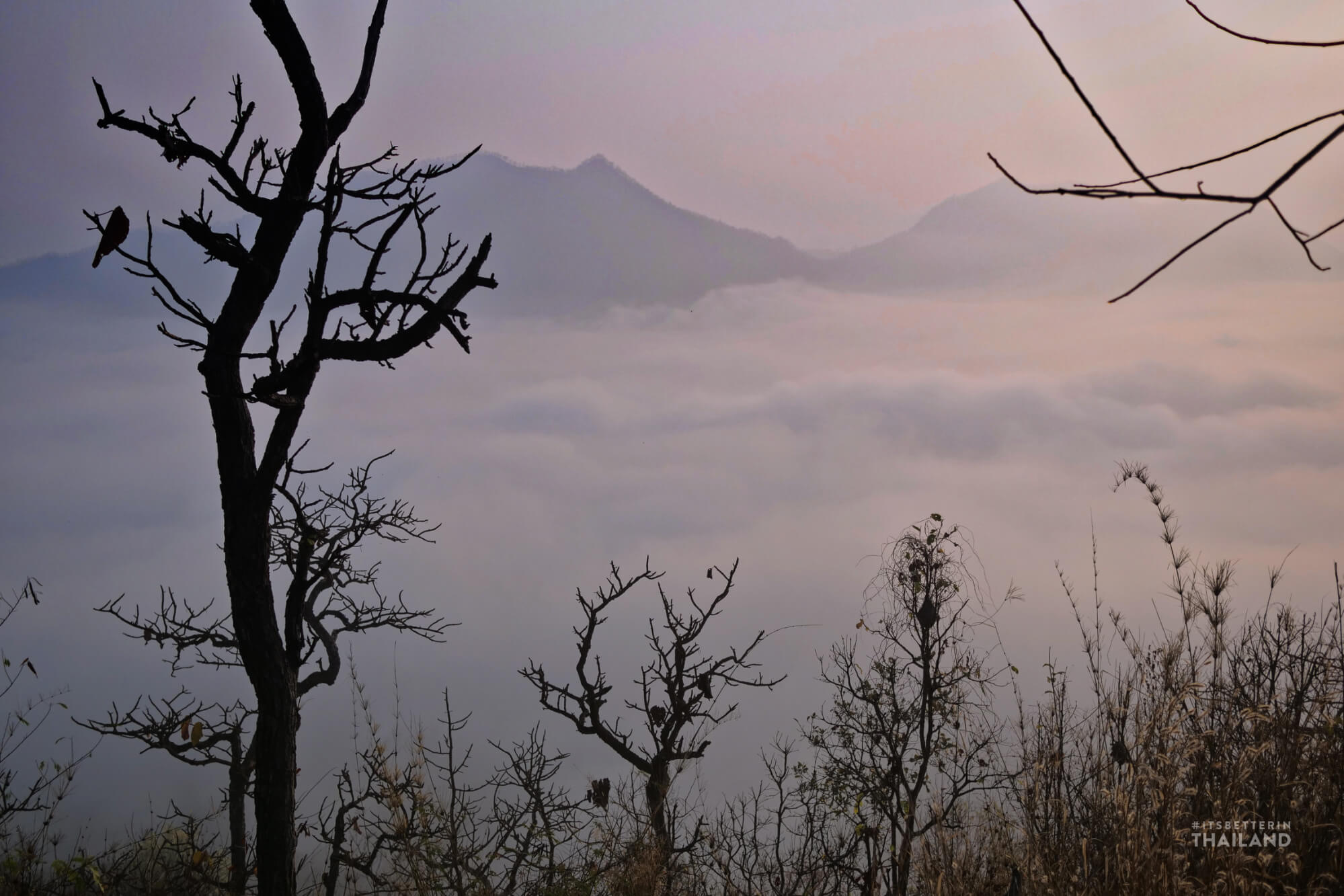 phu thok mist