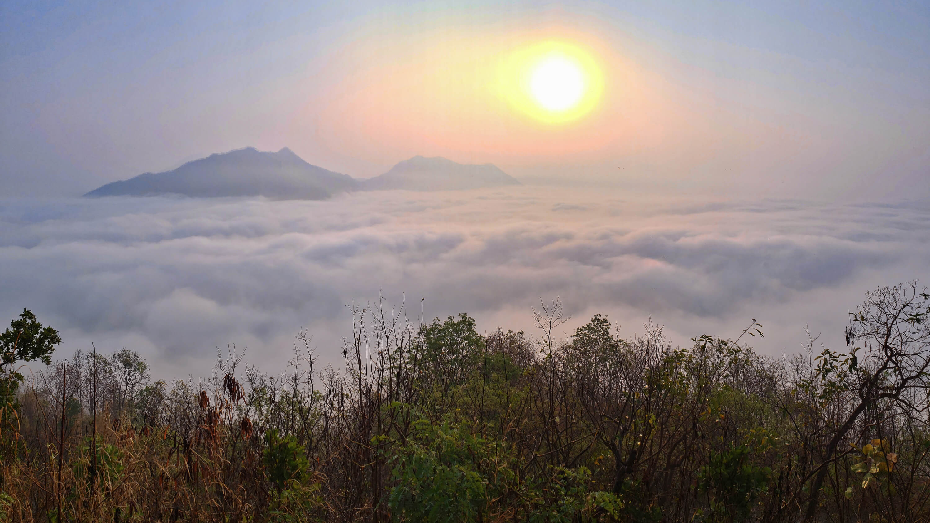 Phu Thok sunrise sea of mist Chiang Khan