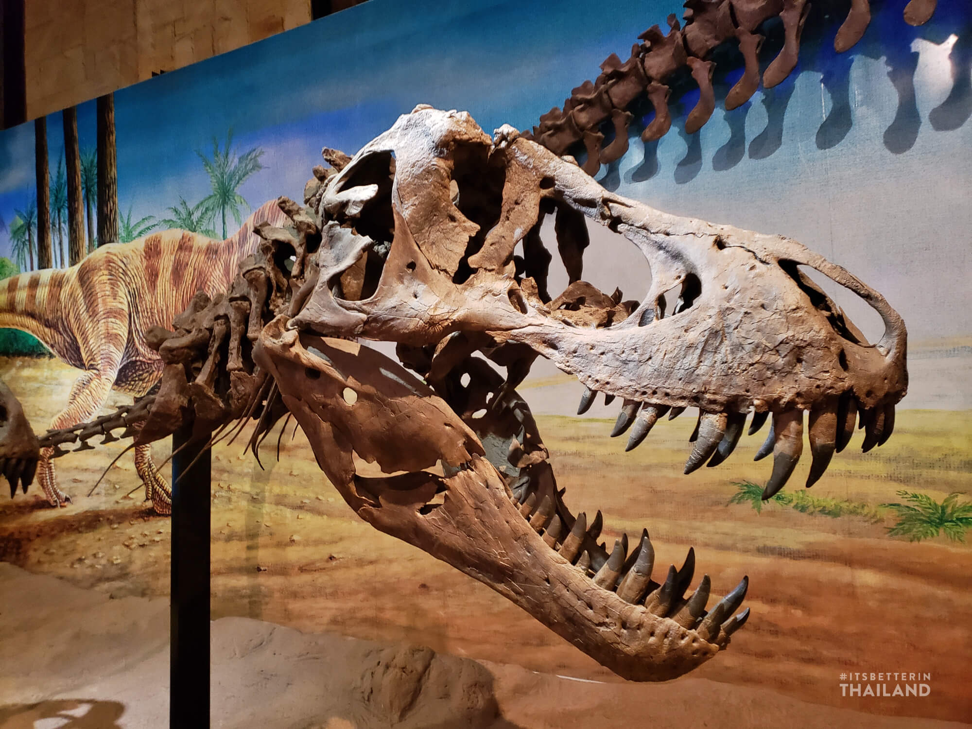 Sirindhorn Dinosaur Museum