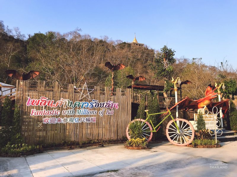 Ratchaburi bat temple