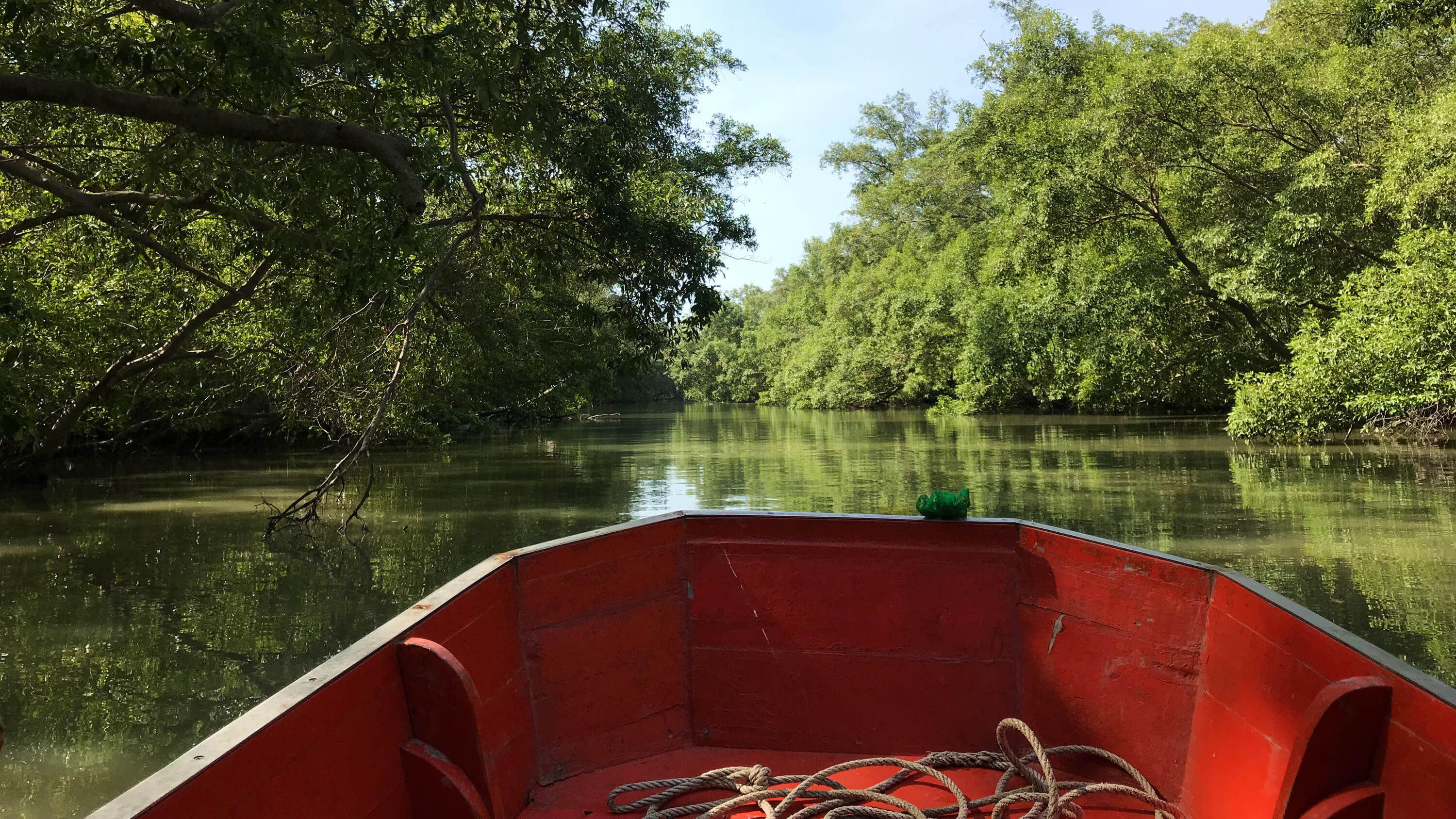 Khlong Khon Mangroves Samut Songkhram