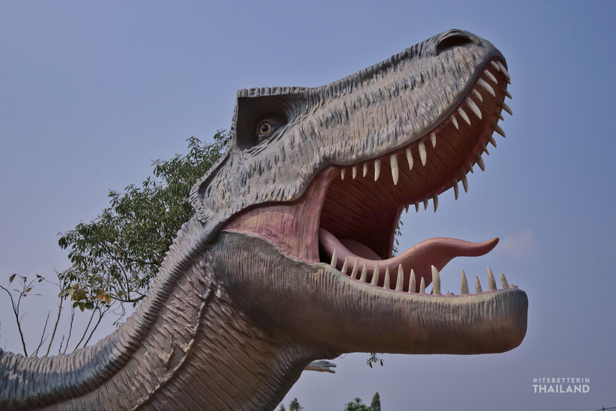 Kalasin Dinosaur Park