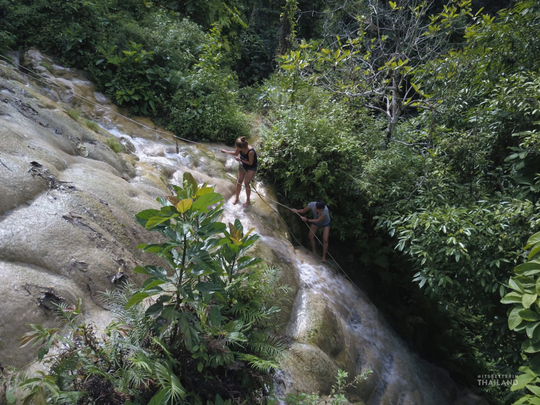 Climbing Bua Tong Sticky Waterfall near Chiang Mai