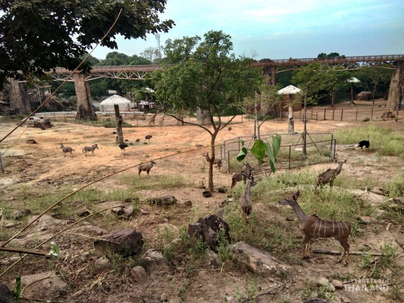 Animals at Khon Kaen zoo