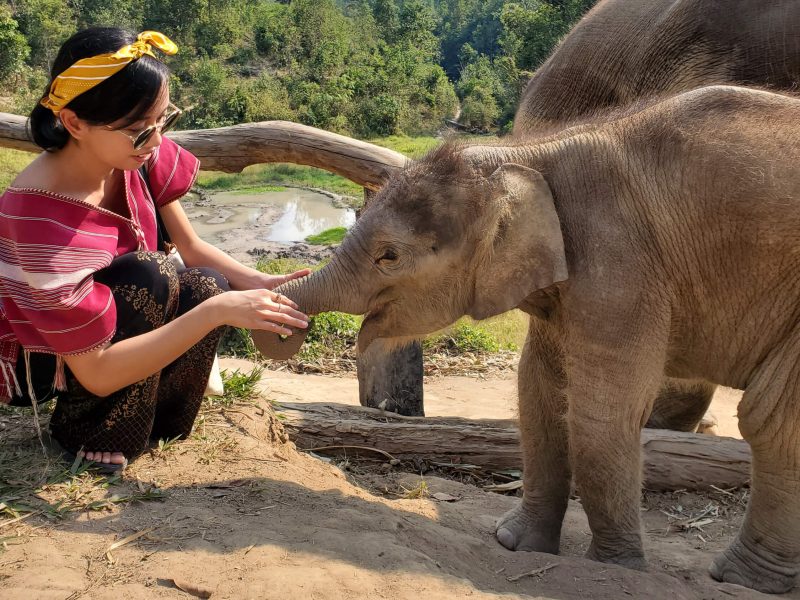 Elephant Sanctuary Thailand