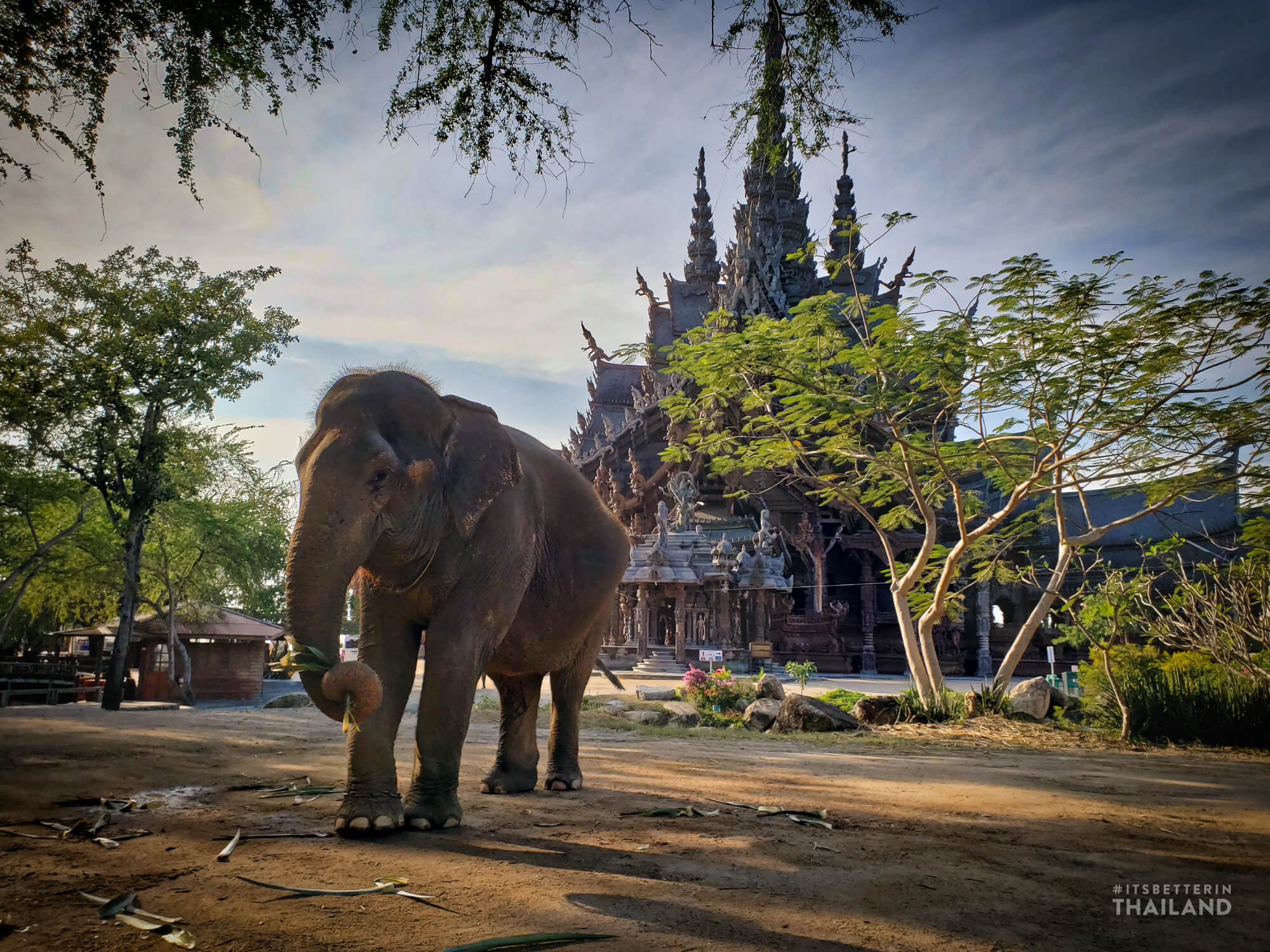 Sanctuary of Truth in Pattaya